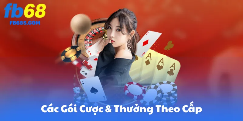 Các Gói Cược & Thưởng Theo Cấp